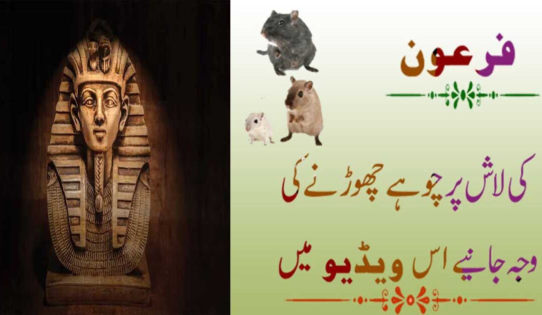 Firon Ki Maut Ka Waqia