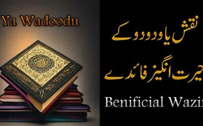 Naqsh Ya Wadoodo Ke Faidy