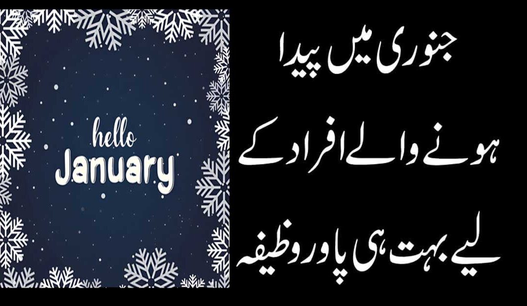 January Me Paide Hone Waly Log