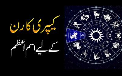 Capricorn People Personality
